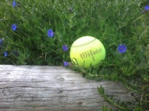 Photo0103