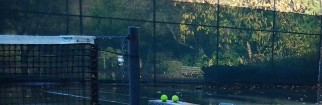 two wet balls